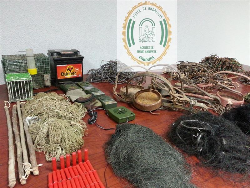 Incautan 700 artes de caza prohibidas en zonas de linces