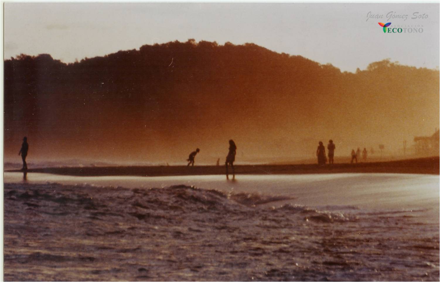 Tejiendo un nuevo mundo