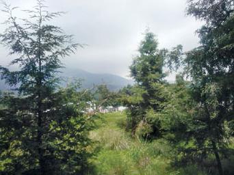 El Club Rutas Turísticas 4x4 realiza recorridos por los espacios naturales protegidos