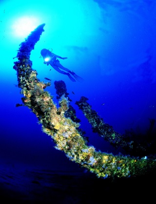 La Reserva de la Biosfera de Menorca pone en marcha un curso sobre Eco-Turismo en el Medio Marino