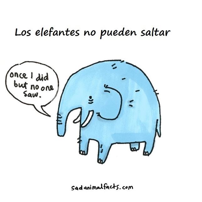 Veinte reflexiones sobre animales con un lápiz