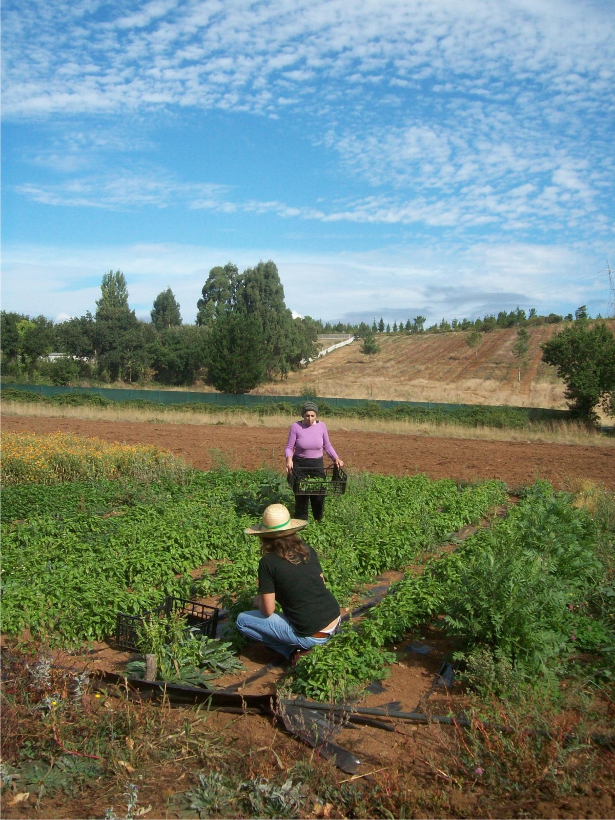 El MARM subvenciona con 380.000 euros un proyecto de cooperación que fomenta una mayor integración de la mujer en el medio rural