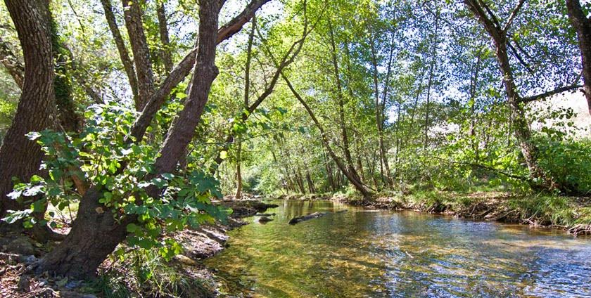 Comienza el 15 de marzo el plazo de autorización para realizar campamentos en espacios naturales andaluces