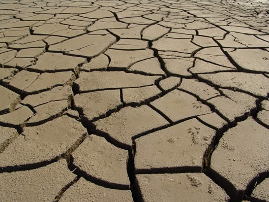 Más de 1.000 millones de personas en 100 países están amenazadas por la desertificación