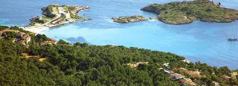 Tala de 200 pinos en el antiguo Forti Militar de Illetas!