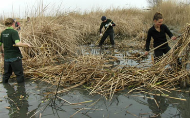 Universitarios de Cantabria recibirán créditos por participar en las acciones de voluntariado ambiental