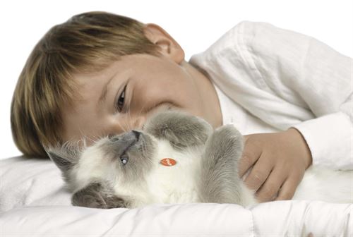 Seis de cada diez personas con gato le cuenta confidencias