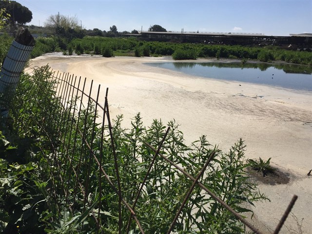 PP de Alcalá de Guadaíra exige al Gobierno socialista que intervenga ante un posible vertido ilegal de purines