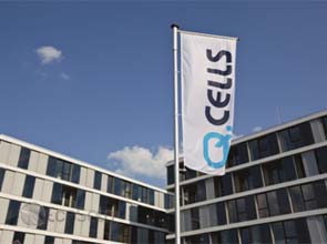 Q-Cells cautious for 2011 as revenues slide by half