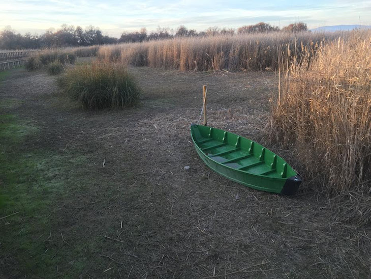 Objetivos ambientales versus aguas en mal estado