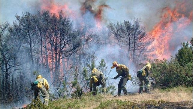 Navarra adelanta el inicio de la campaña estival contra incendios por la sequía en la zona sur