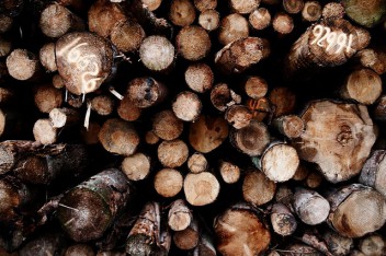 El sector privado ‘debe aprovechar los mercados sostenibles en expansión’ para proteger la Amazonía