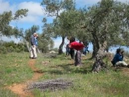 Una iniciativa de Diputación de Badajoz recorre árboles y arbustos mediterráneos del Guadiana Internacional