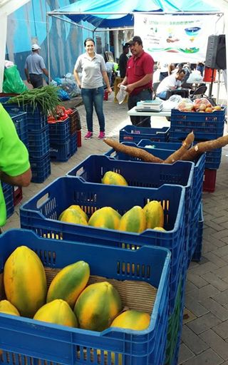 Material reciclable por frutas y verduras