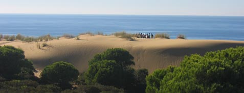 La Unesco reconoce el valor ambiental de Andalucía con la adecuación de Doñana y Sierra Nevada