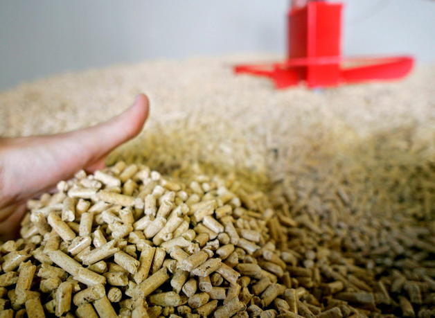 Fomento de San Sebastián y empresas de energías renovables analizan en Austria oportunidades de negocio sobre la biomasa