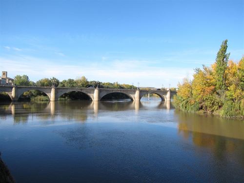 La elevada ‘toxicidad’ del río Ebro