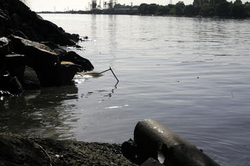 Un nuevo modelo predice cómo los fármacos afectan al medio ambiente