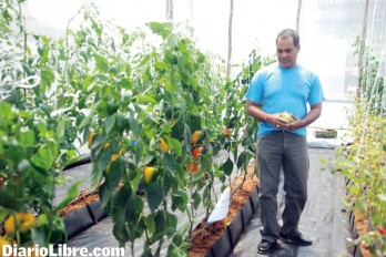 RD avanza eliminación sustancia dañan ozono