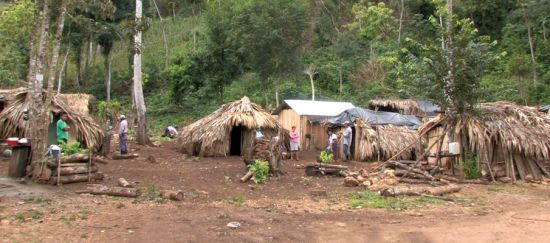 Guatemala: petróleo en el corazón de la selva maya