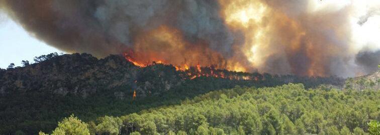 Los servicios de emergencias confían en estabilizar hoy el fuego que afecta a la reserva de Galatzó