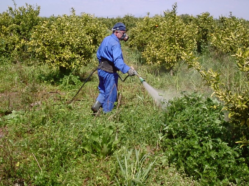 Ecologistas alertan sobre el uso indiscriminado de herbicidas y sus riesgo para la población manchega y madrileña