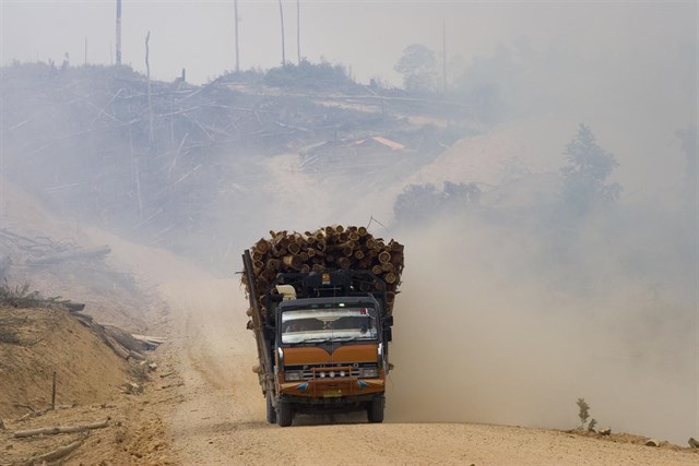 Reducir la deforestación e incrementar captura de CO2 en el suelo