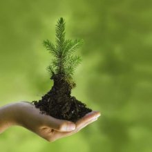 SCA realizará auditorías en las fábricas de sus proveedores para verificar el origen sostenible de sus productos