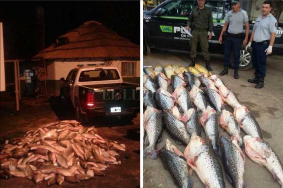 Argentina: Importante decomiso de peces en Santa Fe