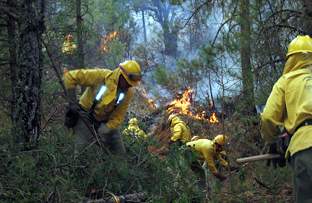 Andalucía. El Plan Infoca extrema la vigilancia frente a incendios en las zonas donde no ha llovido