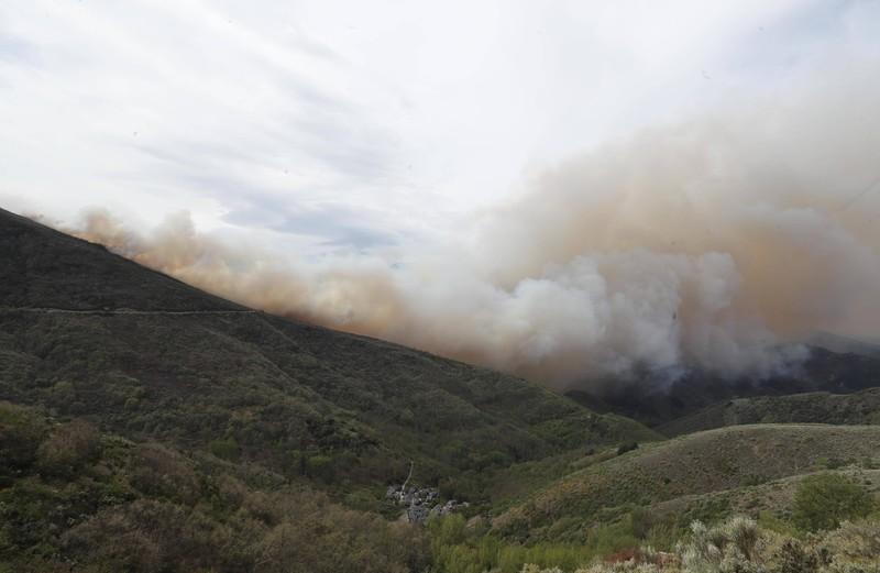 La política forestal