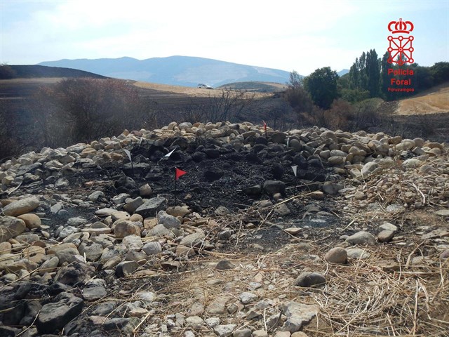 Imputado por la Policía Foral de Navarra el presunto autor del incendio forestal de Subiza-Galar