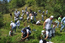 Medio Ambiente planta 2.5 millones de árboles en últimos dos meses