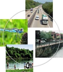 El cuidado del medio ambiente ya forma parte de nuestra conciencia social