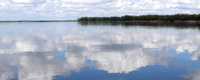 Consecuencias del cambio climático en Argentina