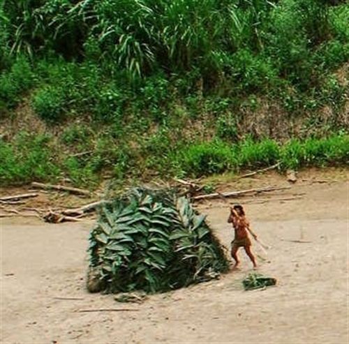 Jose Carlos Meirelles