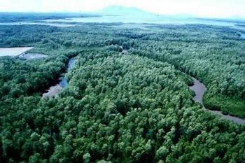 Deforestación en Colombia