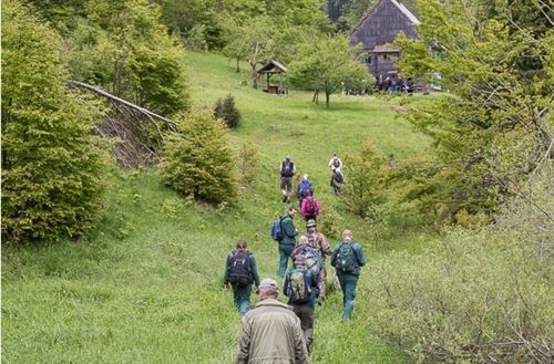 Más de 1.000 guardabosques han muerto en el mundo en los últimos 10 años