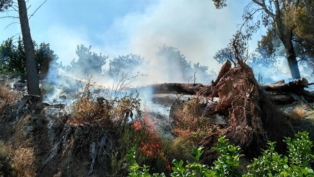 Comunidad invierte más de dos millones en labores que ayuden a prevenir incendios