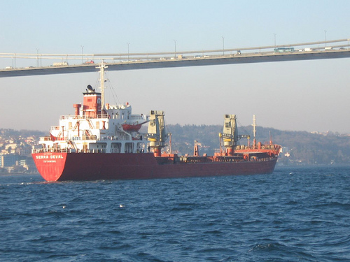 La ONU quiere proteger el ecosistema maritimo