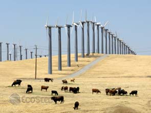 Terra-Gen secures $ 1.2 billion for major California wind projects