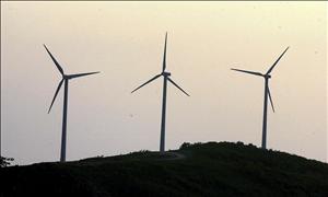 El Tribunal Supremo da la razón a SEO/BirdLife y confirma la paralización del parque eólico Curueña II