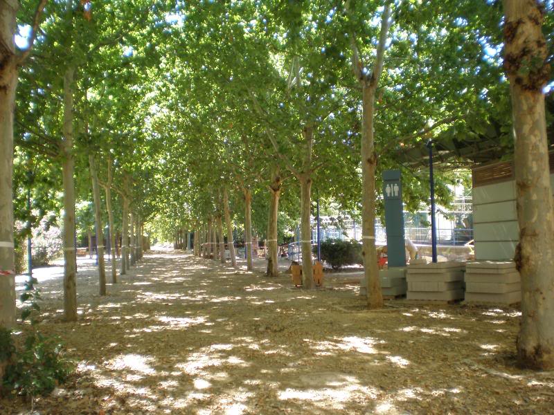Renacen los Jardines del Guadalquivir