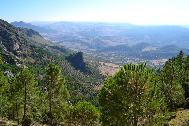 A la Junta Rectora del Parque Nacional de Sierra de Grazalema ni está ni se le espera…