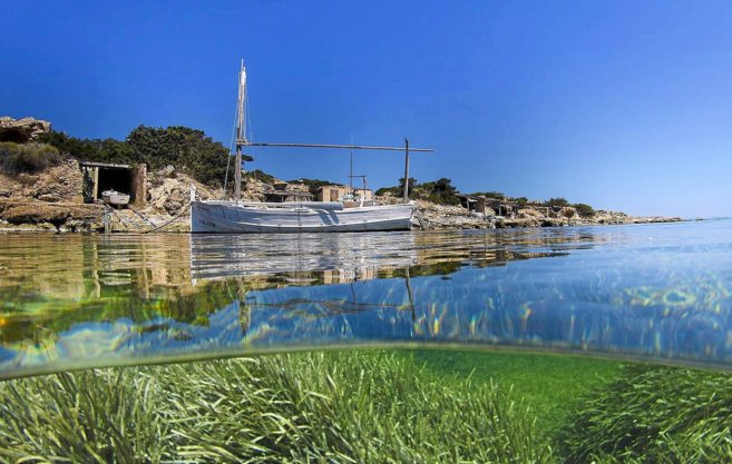 Los Consells de Ibiza y Formentera quieren más medios para la gestión de las Reservas Marinas