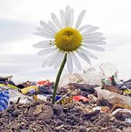 IUSC. Te forma a fondo con un Master en Gestión y Tratamiento de Residuos