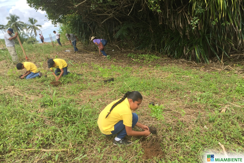 Jornada de siembra de plantones en los predios del colegio Anastasia Mitre