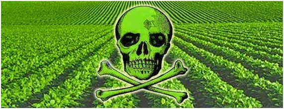 Monsanto pierde sus permisos para plantar en México