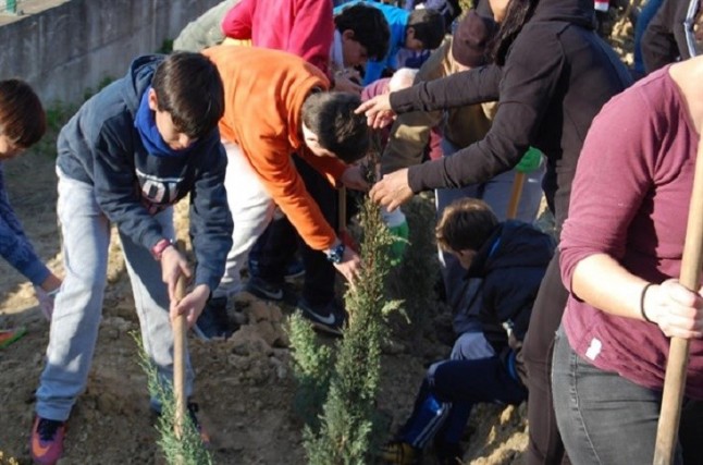 Reforestación participativa en Bormujos