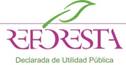 Reforesta contribuye al conocimiento de un árbol amenazado